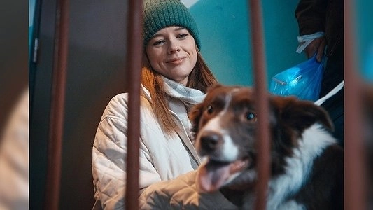 Главная картинка новости: Екатеринбуржцы сняли короткометражку о бездомных собаках, которым грозит отстрел