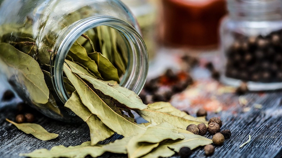 Кладу 1 листочек на ящик: весь урожай в погребе сухой до весны – и грызунов нет