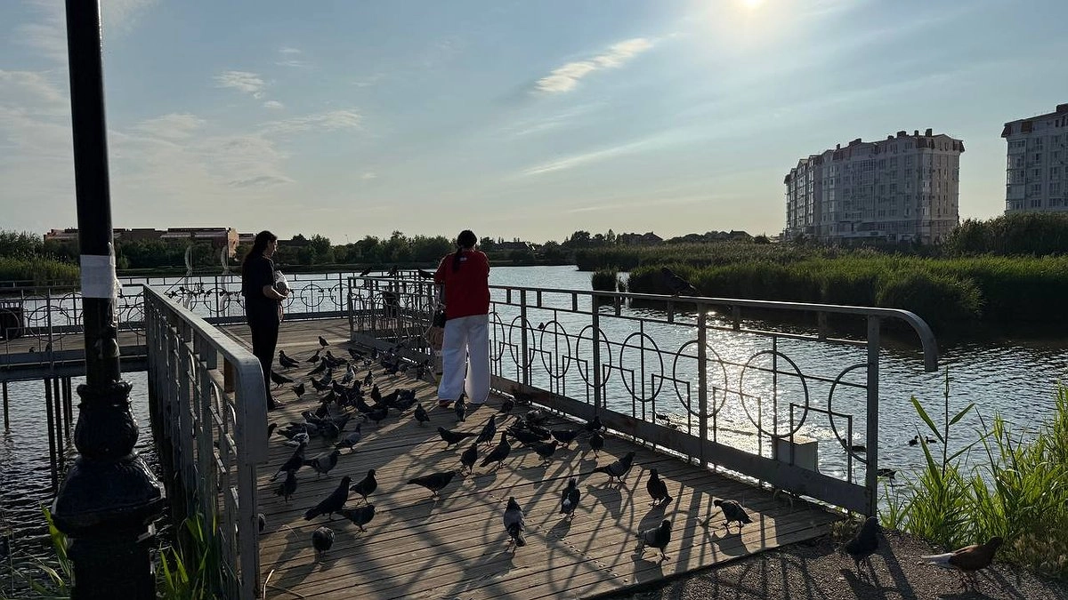 Адская жара в Центральной России наконец отступит: Вильфанд рассказал, когда придёт похолодание