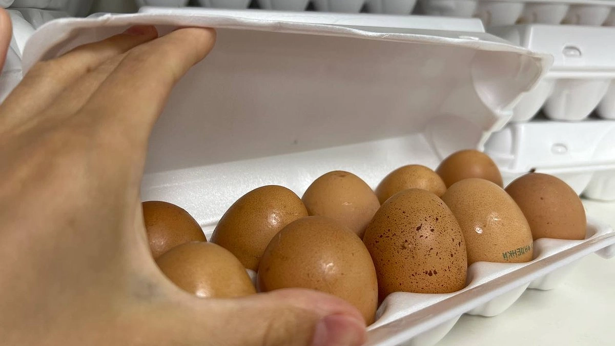 Почему не стоит жарить яйца на подсолнечном масле: примите к сведению – рассказал шеф-повар