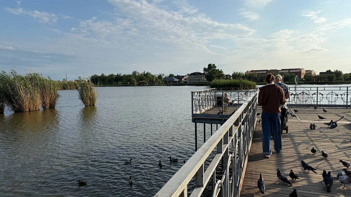 «С понедельника будет бесплатно для всех пенсионеров». Новая льгота вводится с 28 июля