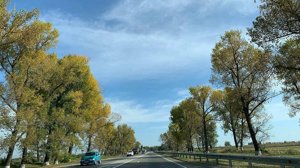 Почти лето: в Свердловской области ожидается потепление