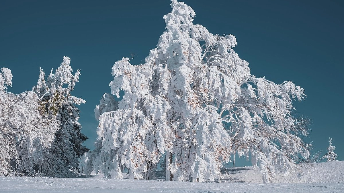 «Информация по январю шокирующая». Синоптики сказали, к чему готовиться в середине зимы