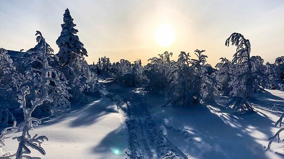 Участники зимнего похода на перевал Дятлова поделились подробностями экспедиции