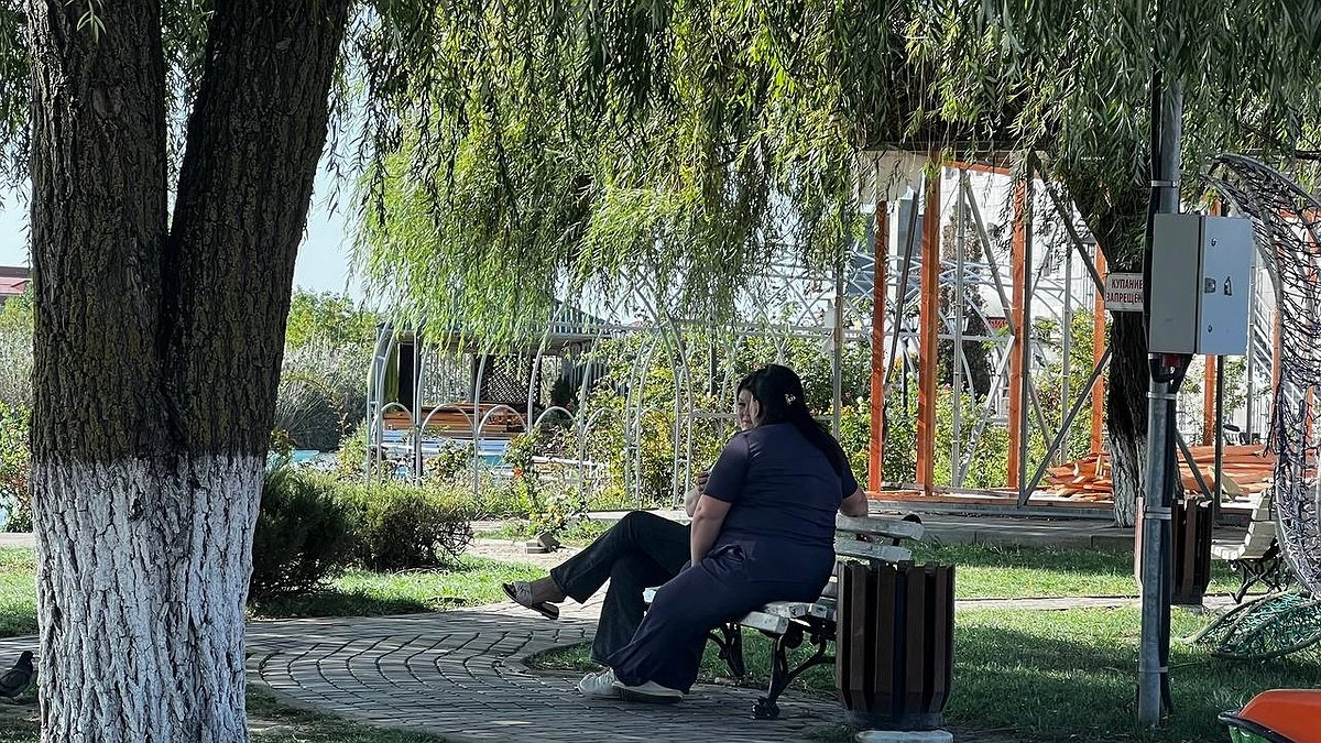 Главная картинка новости: Путь уже предначертан: Овнам нужно взяться за новый проект, а у Близнецов получится заключить приятную сделку