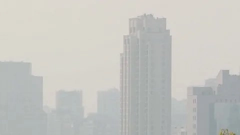 Главная картинка новости: Неделя смога на Урале: в Свердловской области объявлен официальный режим загрязнения воздуха