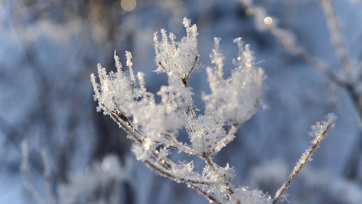 Екатеринбург зафиксировал температурный рекорд начала зимы