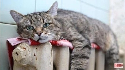 На Вторчермете посреди июня нагрелись батареи