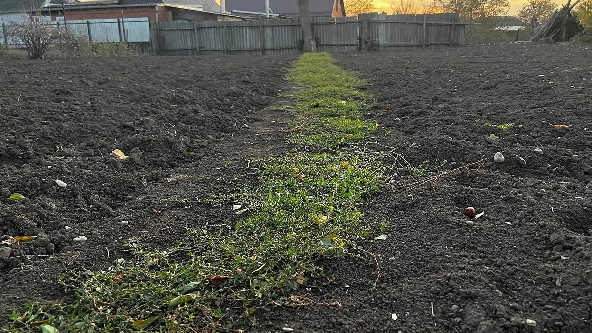 Увеличьте урожай вдвое: лайфхак как правильно применять спанбонд на огороде