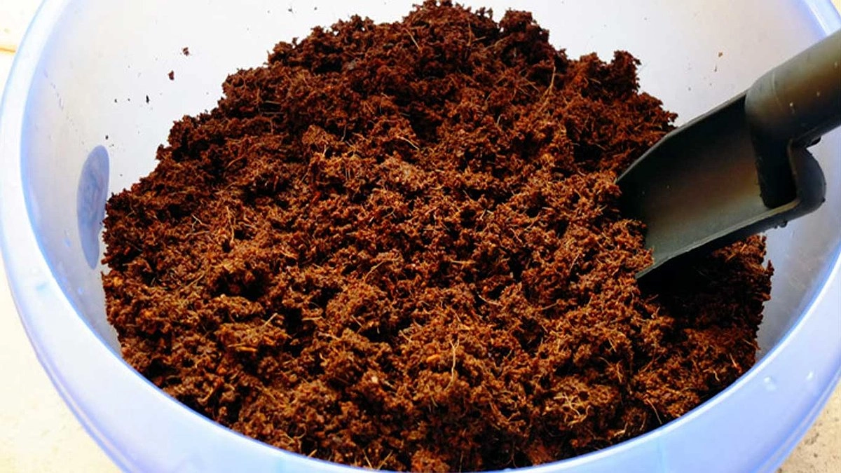 На Урал ввезли крупную партию кокосового субстрата под контролем надзорных служб