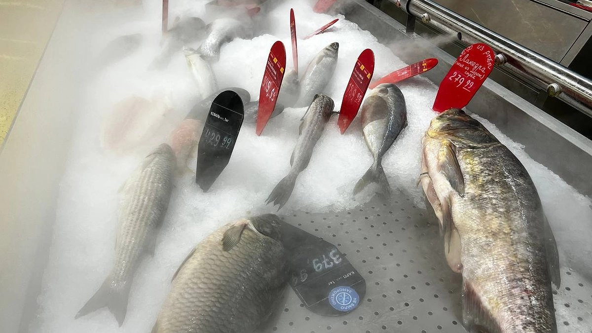 Главная картинка новости: Каждая третья тонна забракована: Роспотребнадзор изъял полтонны некачественной рыбы на Урале