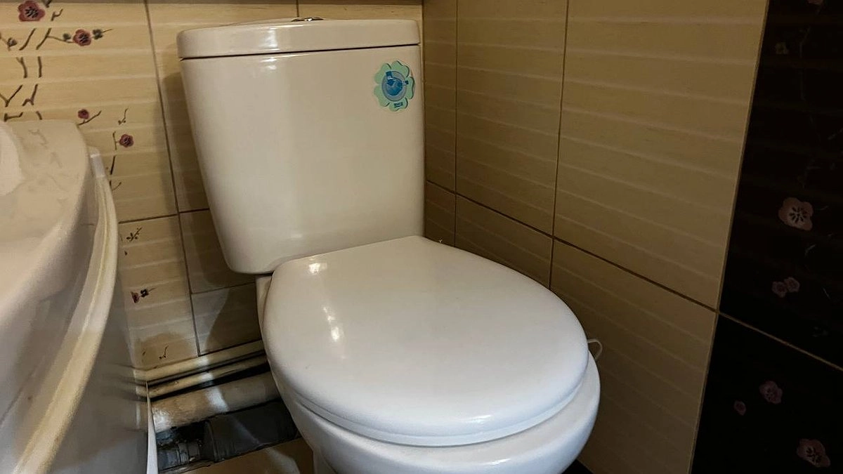 Уксус — в прошлом: самый простой метод отмыть унитаз за 10 минут — берите на карандаш и не благодарите