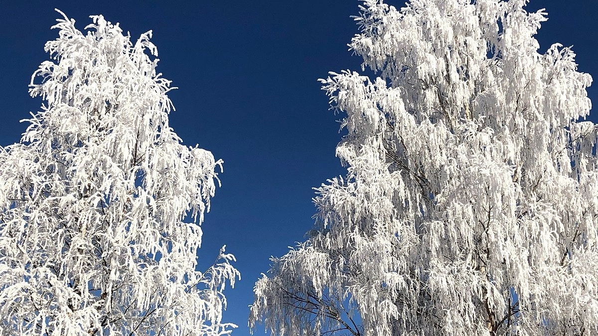 Только размечтались о весне, а нам — 170 часов мороза. Синоптики сказали, что с 17 февраля начнётся жесть