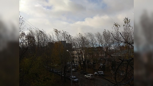 Более восьми тысяч свердловчан остались без света из-за сильного ветра