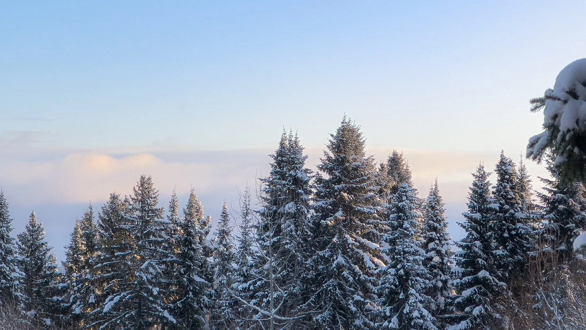 Тринадцать уральских туристов потерялись на снегоходах в Пермских горах: объявлены масштабные поиски
