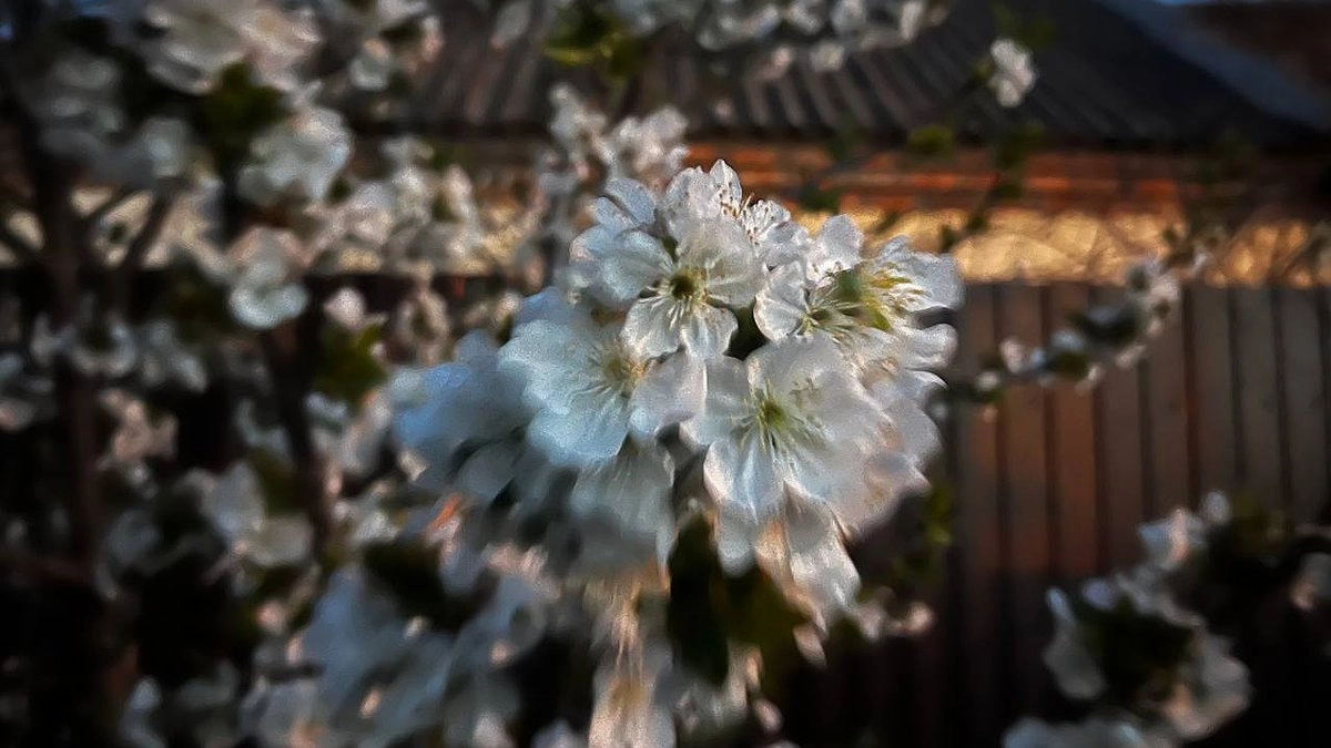 "Лето растянется на 4 месяца" - Вильфанд пообещал сильные дожди и невыносимую жару