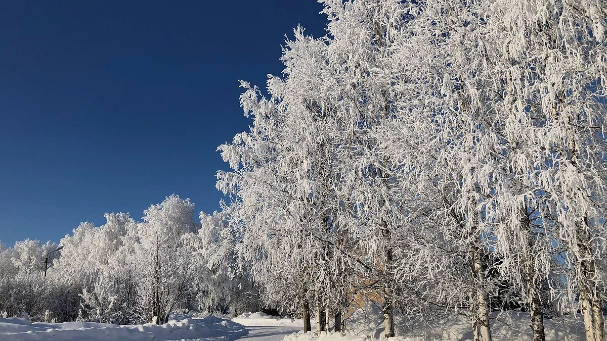 Метель и двадцатиградусный мороз: какая погодная встряска ждёт Свердловскую область на следующей неделе