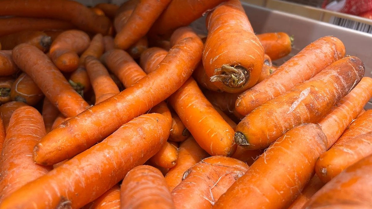 Главное правило хранения моркови - метод советских агрономов. Как обрезать, как сушить, когда в погреб опускать: ни одна морковка не пропадет