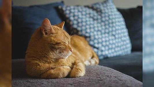 Наша Афиша: как интересно провести выходные в Екатеринбурге