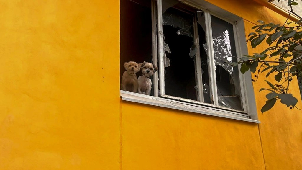 Пожарные спасли домашних животных в Первоуральске