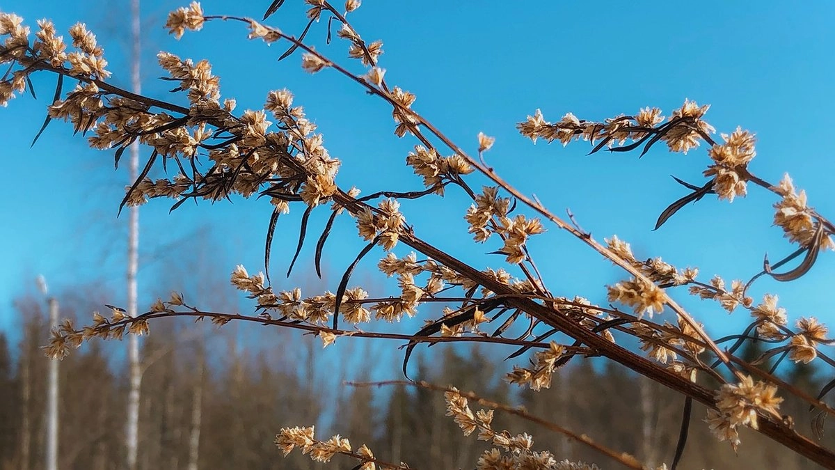 Синоптики предупредили свердловчан о резком похолодании с 20 апреля