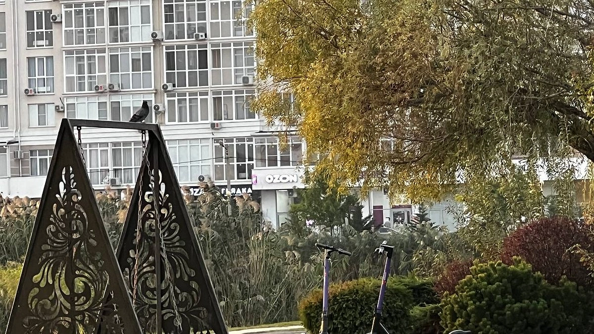 Забудут о бедности: счастливчики с этой цифрой в дате рождения будут собирать  деньги лопатой после 30 лет