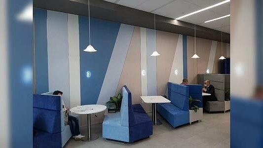 Легко заразиться и в городе: главный эпидемиолог Екатеринбурга – о защите от клещевого энцефалита