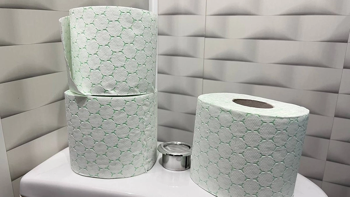 Туалетную бумагу - за борт: нашли альтернативу - в Европе это норма, а мы только пробуем