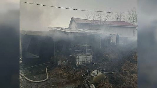 На Уралмаше в конюшне сгорели 12 лошадей и 5 собак