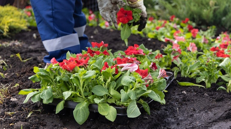 Городские власти определили список сфер отработки наказаний — где и какие работы будут выполнять осуждённые