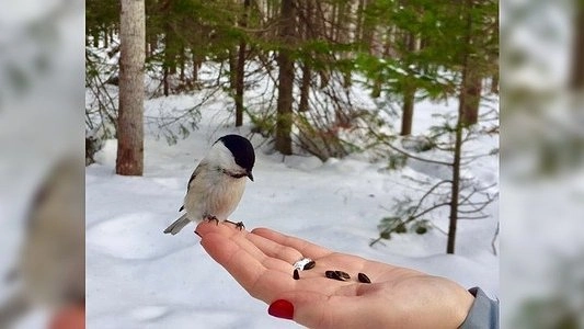 Начало следующей недели в Екатеринбурге будет теплым