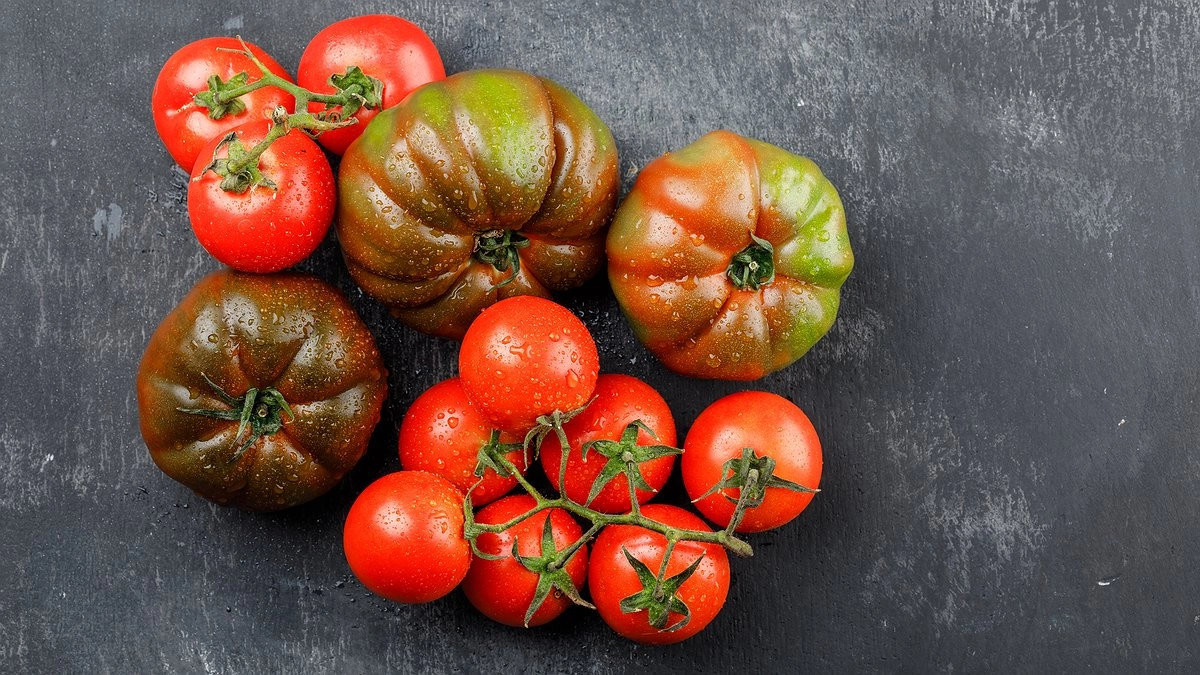 Худшие сорта томатов: почему они разочаруют даже опытных садоводов и заставят пожалеть о потраченном времени