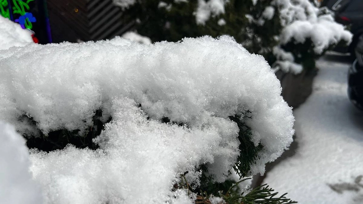 Главная картинка новости: В Свердловской области ожидаются сильные морозы: прогноз на ближайшие дни