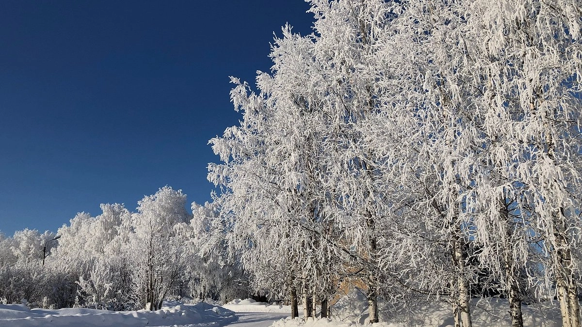 Зима включила режим «качелей»: в Екатеринбурге ждут мороз под -30°, а затем резкое потепление