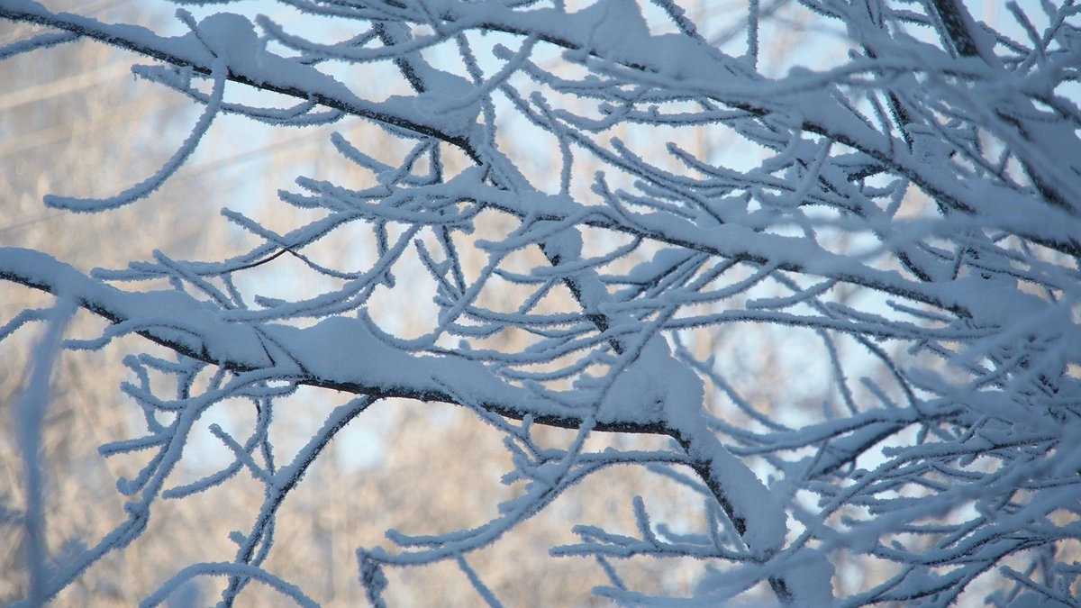 Екатеринбург ждет короткая оттепель до -6° перед новыми морозами