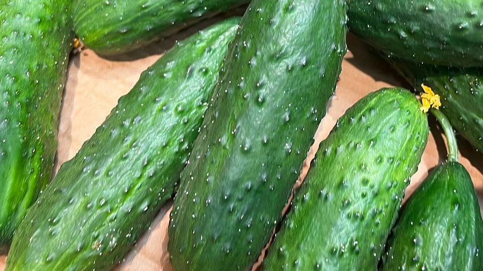 Огурцы по цене мяса: на Урале килограмм зелени подорожал до 207 рублей. Что еще взлетело в цене