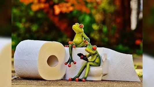 Телеведущая Елена Малышева призвала всех отказаться от туалетной бумаги