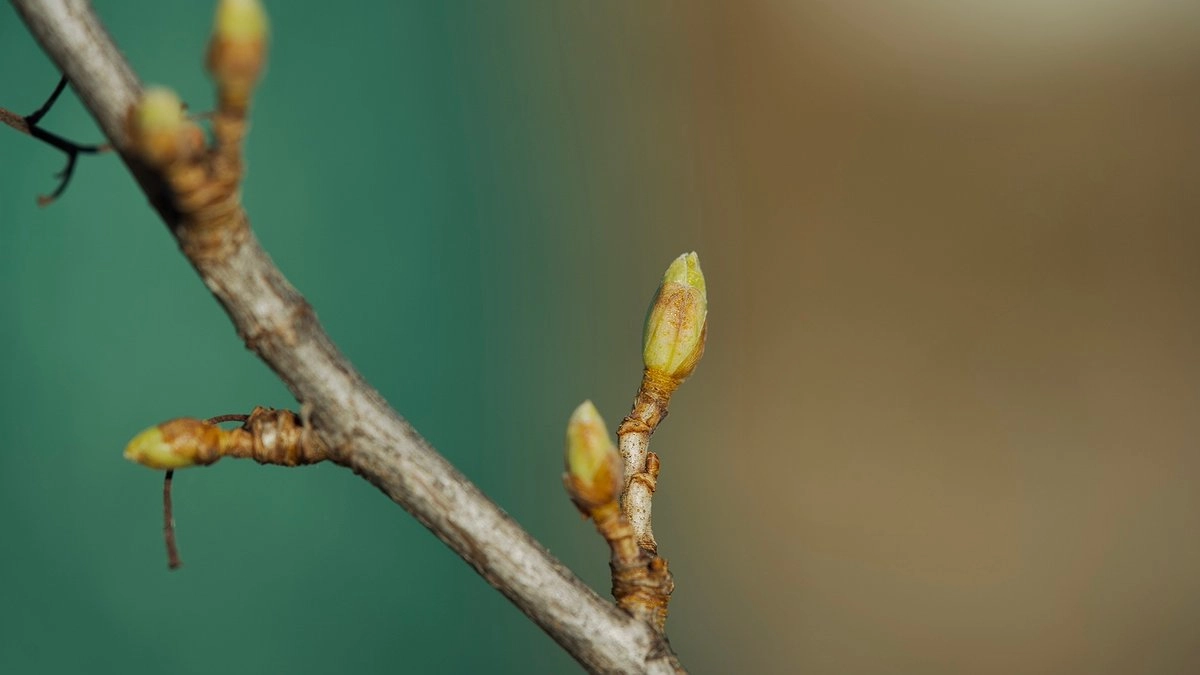 До +15 и дожди: погода в Свердловской области на выходные
