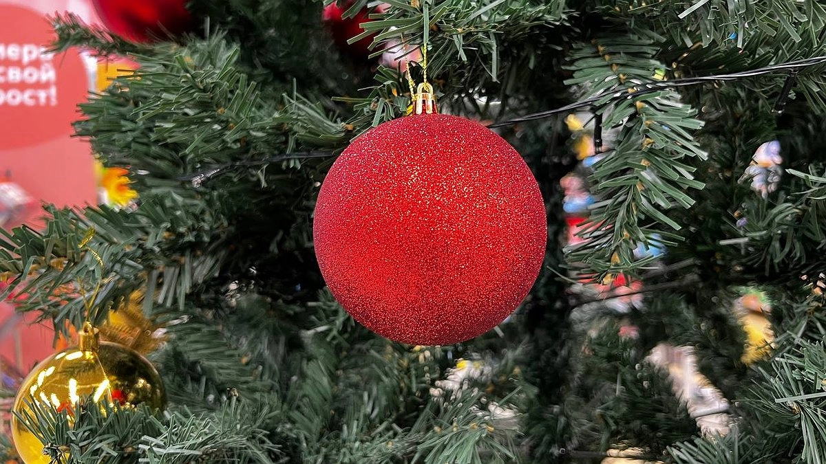 Где еще можно забронировать номера на Новый год и январские каникулы в Екатеринбурге и области