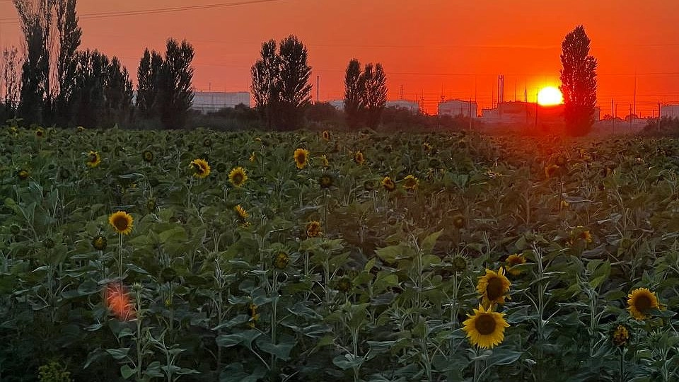 Главная картинка новости: Российские курорты, на которые лучше вообще не соваться летом 2025: там вам не будут рады