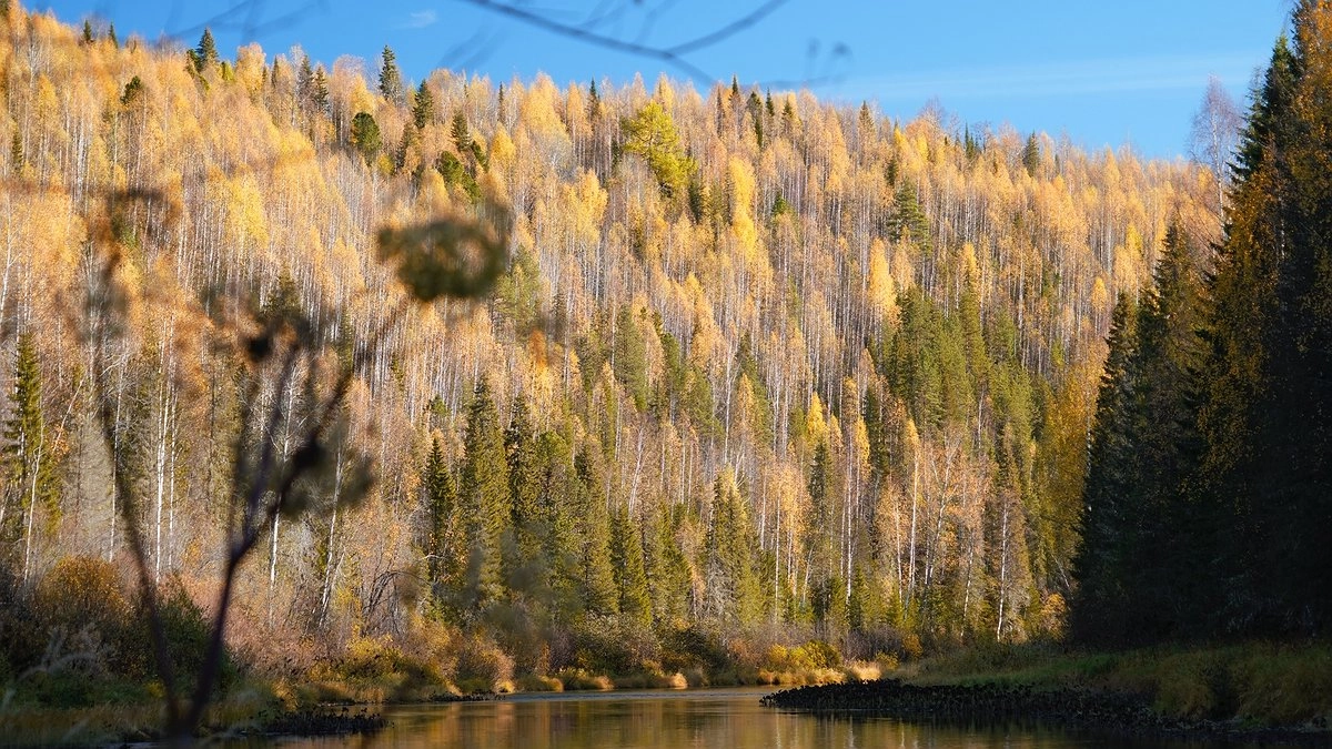 Резкие перепады температур на Урале: ночные заморозки пришли в Свердловскую область