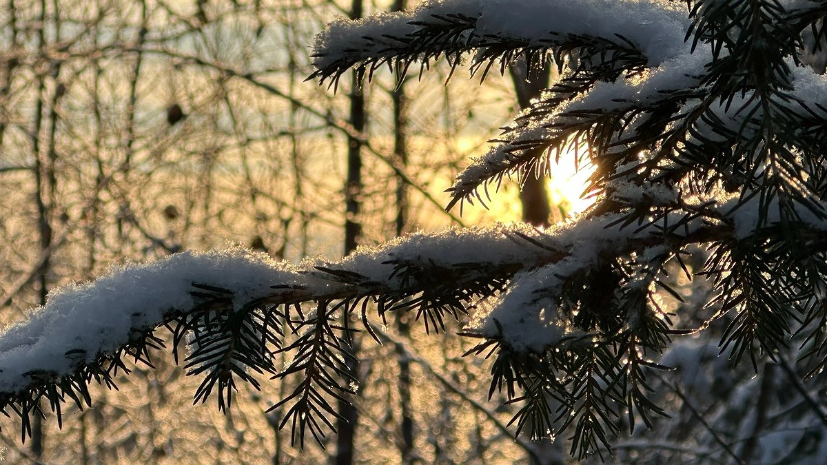 Главная картинка новости: Крещенские морозы придут на Урал к 7 января: прогноз погоды на Рождество
