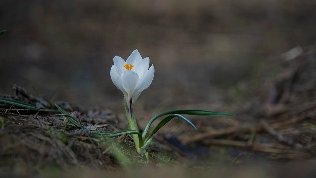 Жителей Свердловской области ждет рывок до +18: когда в регион придет настоящее тепло