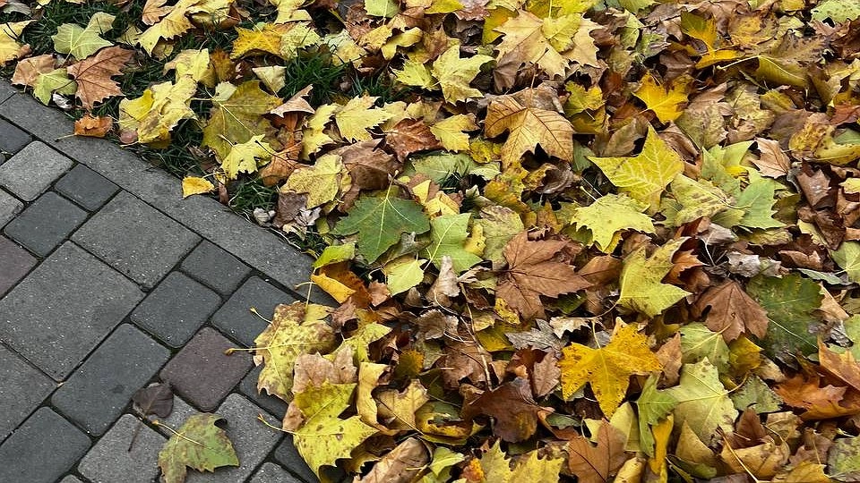 Осень не заставит себя ждать: Вильфанд предупредил раннем похолодании