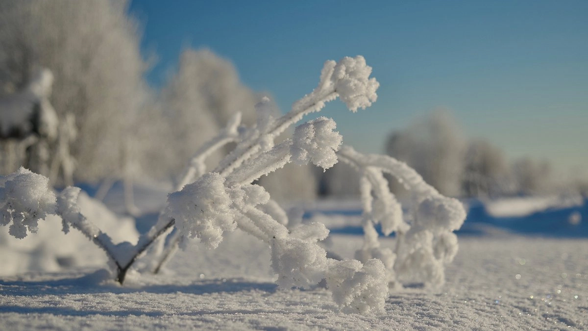 Россиян удивил аномальный прогноз на март: теперь это зимний месяц по словам синоптика