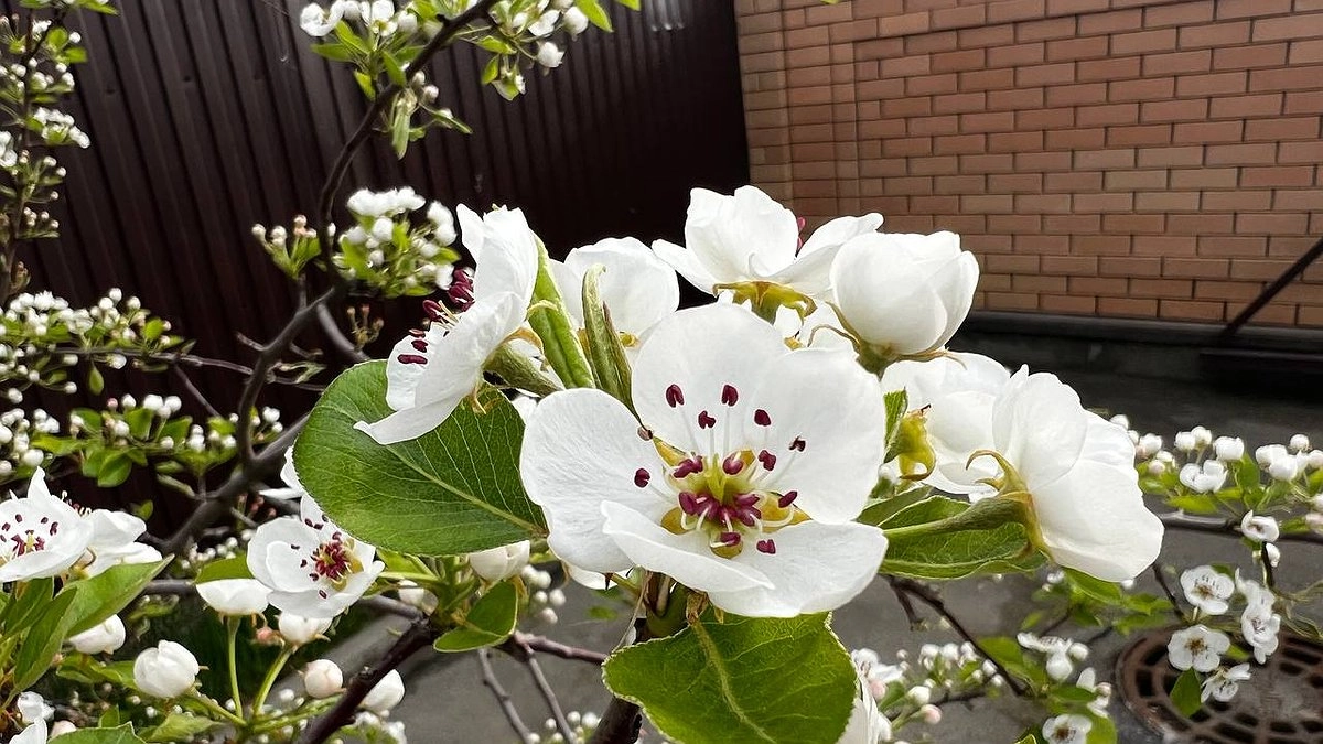 «То майский холодок, то лето!» В Екатеринбург идёт жара до +26 °C