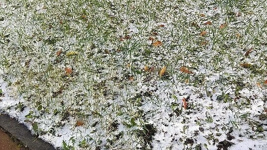 Главная картинка новости: В Екатеринбурге начало этой недели будет снежным