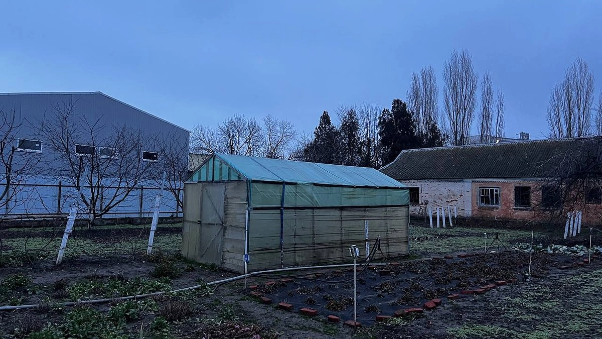 Рассыпьте осенью соду по огороду, заменит тонны навоза и дорогих удобрений