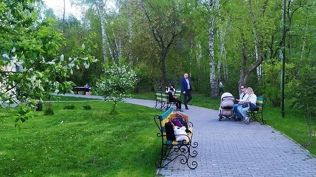 Место не узнаете: стало известно, как благоустроят победивший в голосовании парк