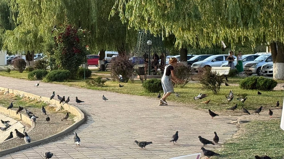 «Июль и август будут аномальными»: синоптики дали прогноз до конца лета 2025